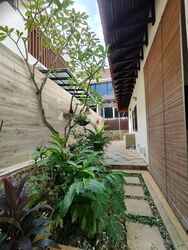 Chestnut Avenue (D23),  #591396841